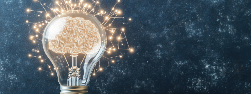 OPINIÓN EXPERTO FOTOS